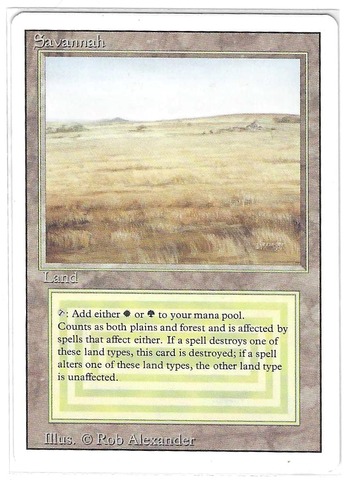 Savannah (#729)